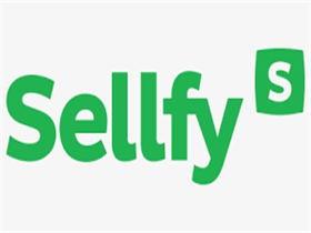 独立站必备工具：Sellfy - 为你的电商创业保驾护航